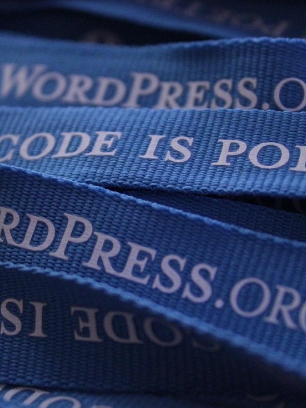 Personal Branding Logo Pack